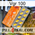 Vgr 100 new05